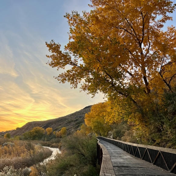 Meet your Posher, Allison - Picture 1 of 1